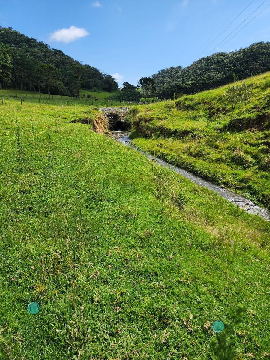 Sítio à venda, 184000 - Foto 6