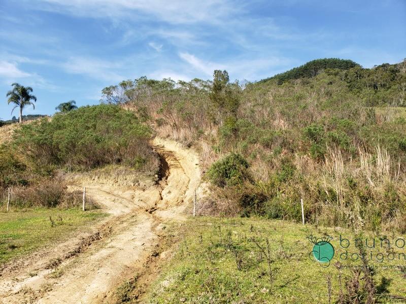 Terreno à venda, 27000 - Foto 4