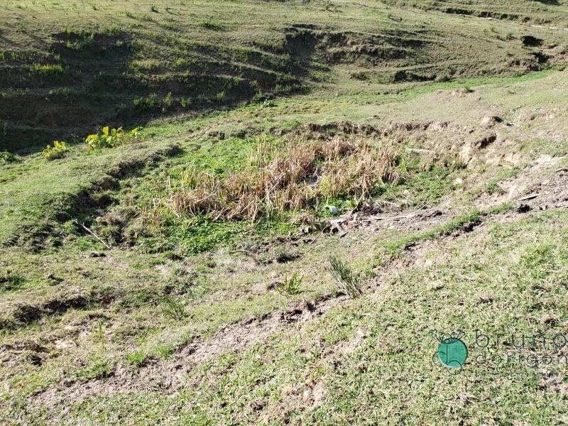 Terreno à venda, 27000 - Foto 19