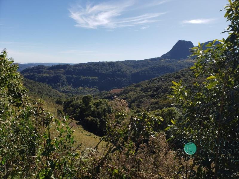 Terreno à venda, 350000 - Foto 5