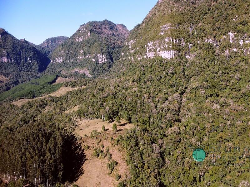 Terreno à venda, 350000 - Foto 2