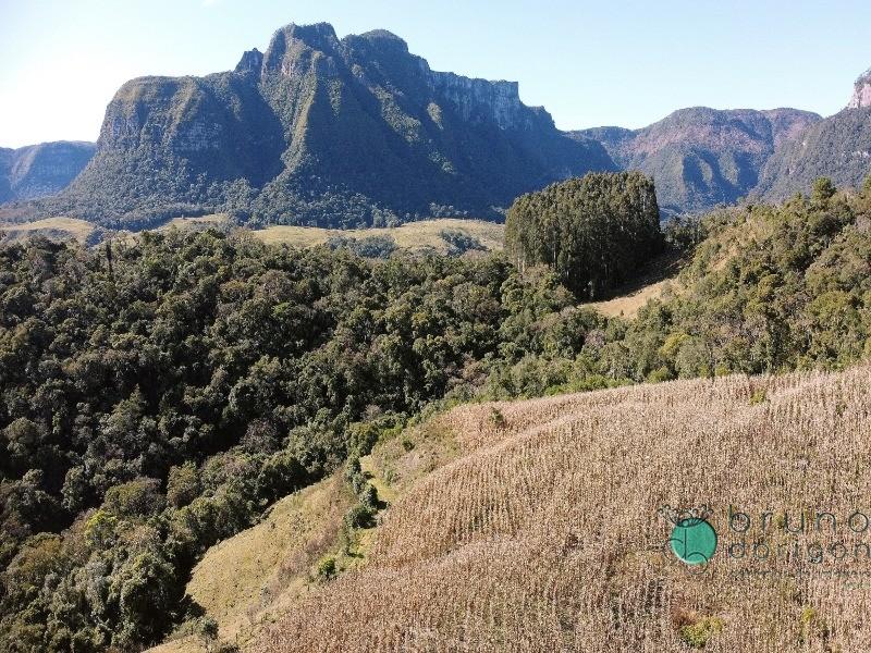 Terreno à venda, 350000 - Foto 1