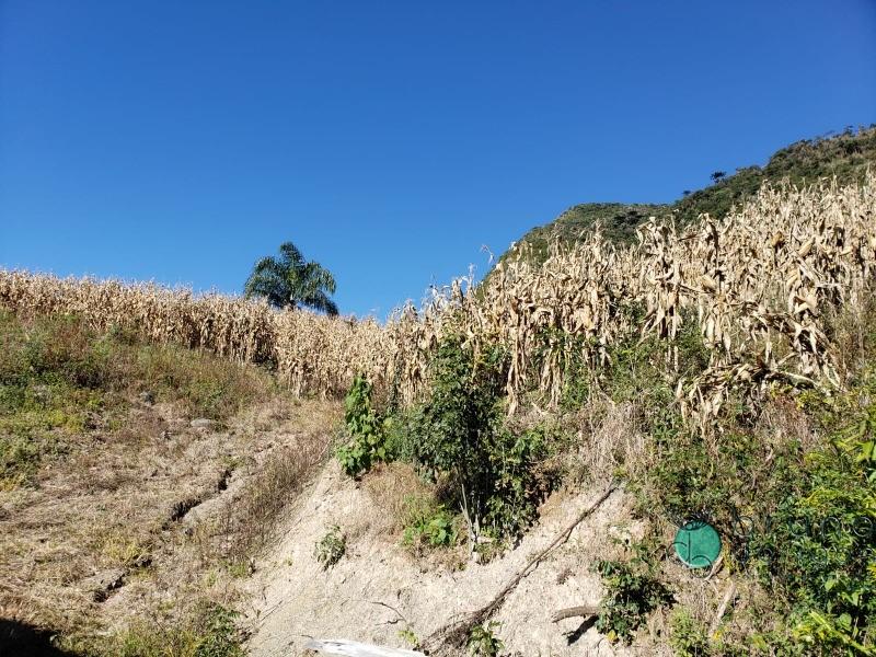 Terreno à venda, 350000 - Foto 7