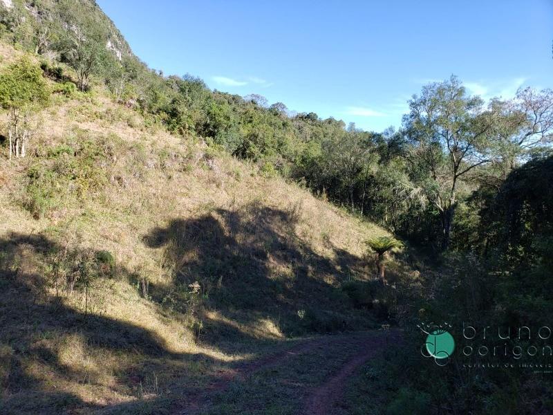 Terreno à venda, 350000 - Foto 12