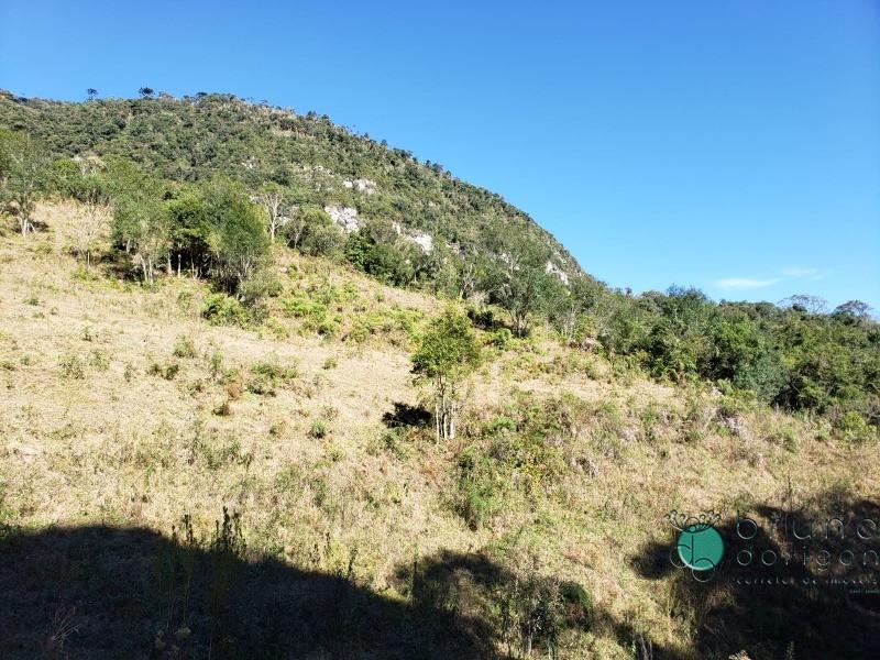 Terreno à venda, 350000 - Foto 11