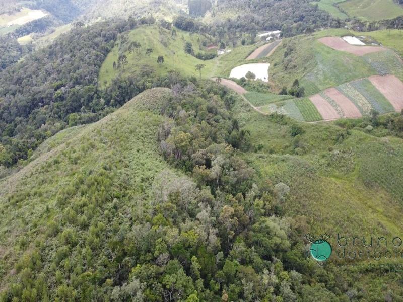 Sítio à venda, 225000 - Foto 8