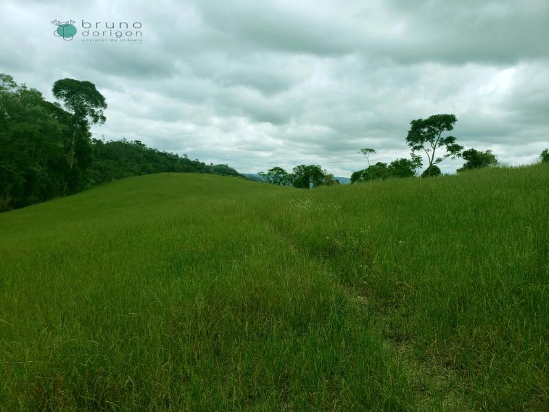 Sítio à venda, 70000 - Foto 7