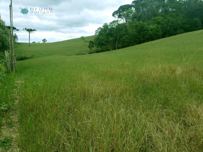 Sítio à venda, 70000 - Foto 1