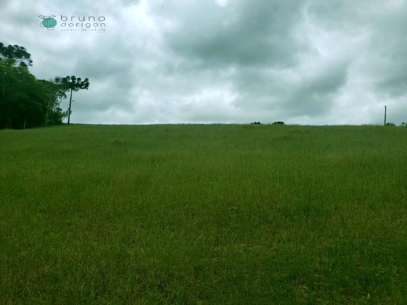 Sítio à venda, 70000 - Foto 2