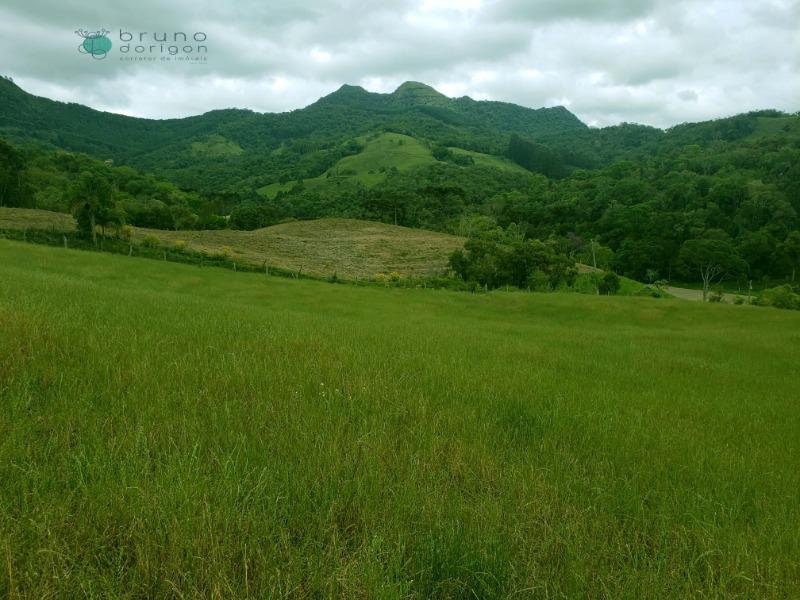 Sítio à venda, 70000 - Foto 9