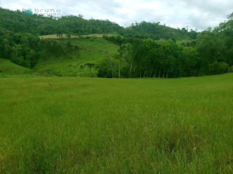 Sítio à venda, 70000 - Foto 8