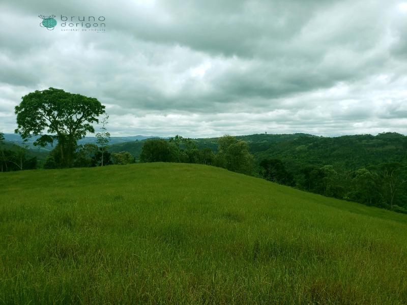 Sítio à venda, 70000 - Foto 14