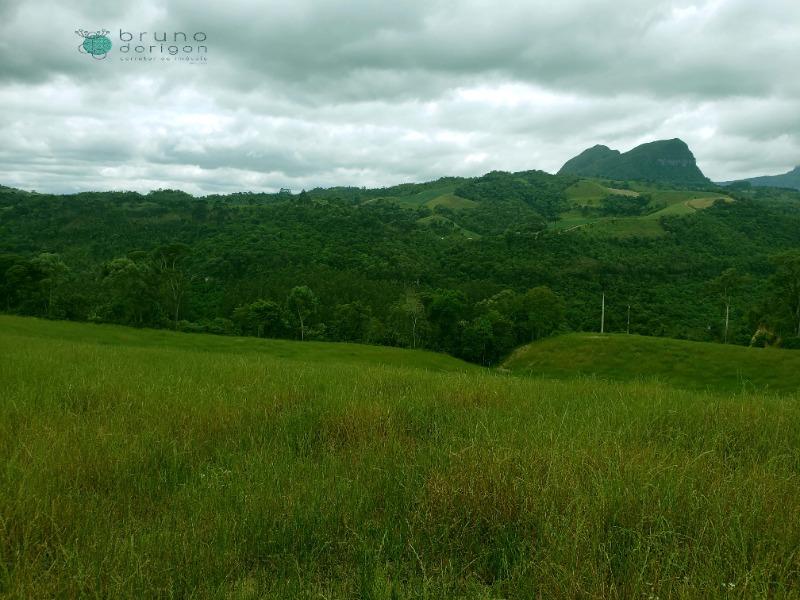 Sítio à venda, 70000 - Foto 13