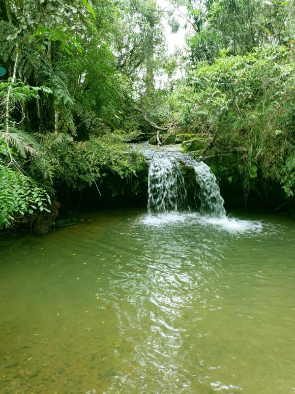 Sítio à venda, 70000 - Foto 26