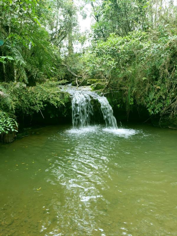 Sítio à venda, 70000 - Foto 28