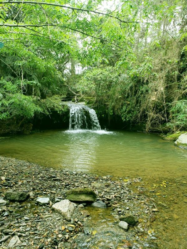 Sítio à venda, 70000 - Foto 25