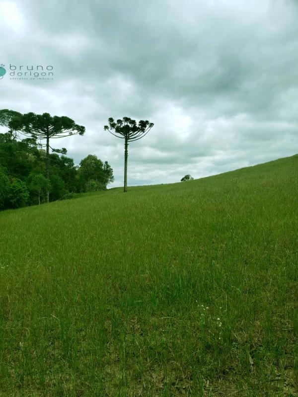 Sítio à venda, 70000 - Foto 24