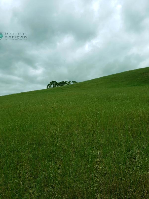 Sítio à venda, 70000 - Foto 23