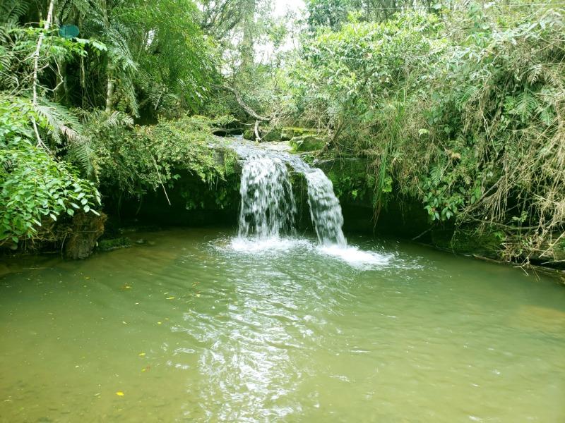 Sítio à venda, 70000 - Foto 27