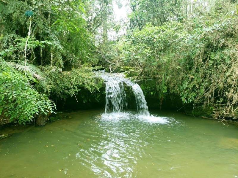 Sítio à venda, 70000 - Foto 29