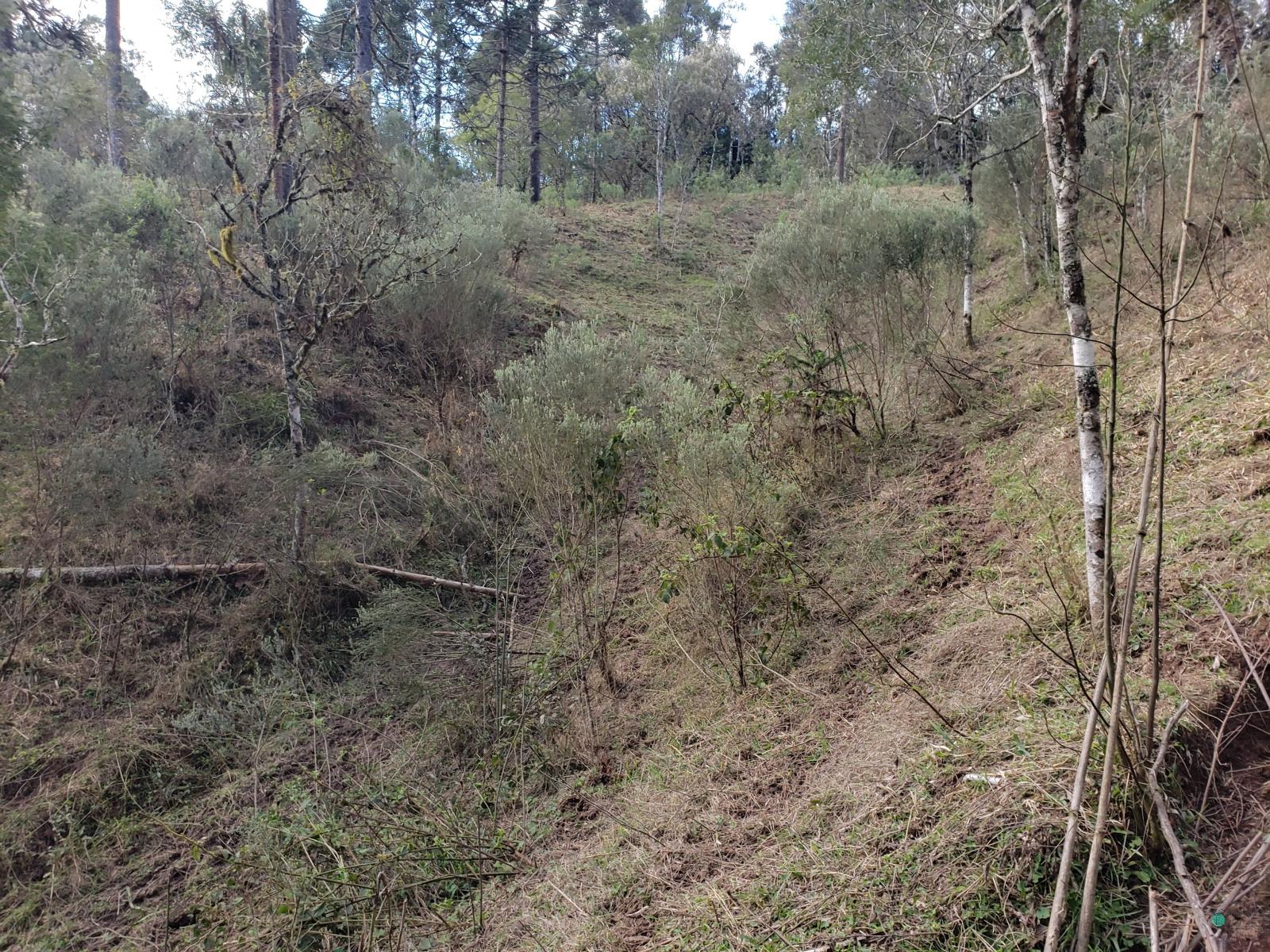 Sítio à venda, 26000 - Foto 21