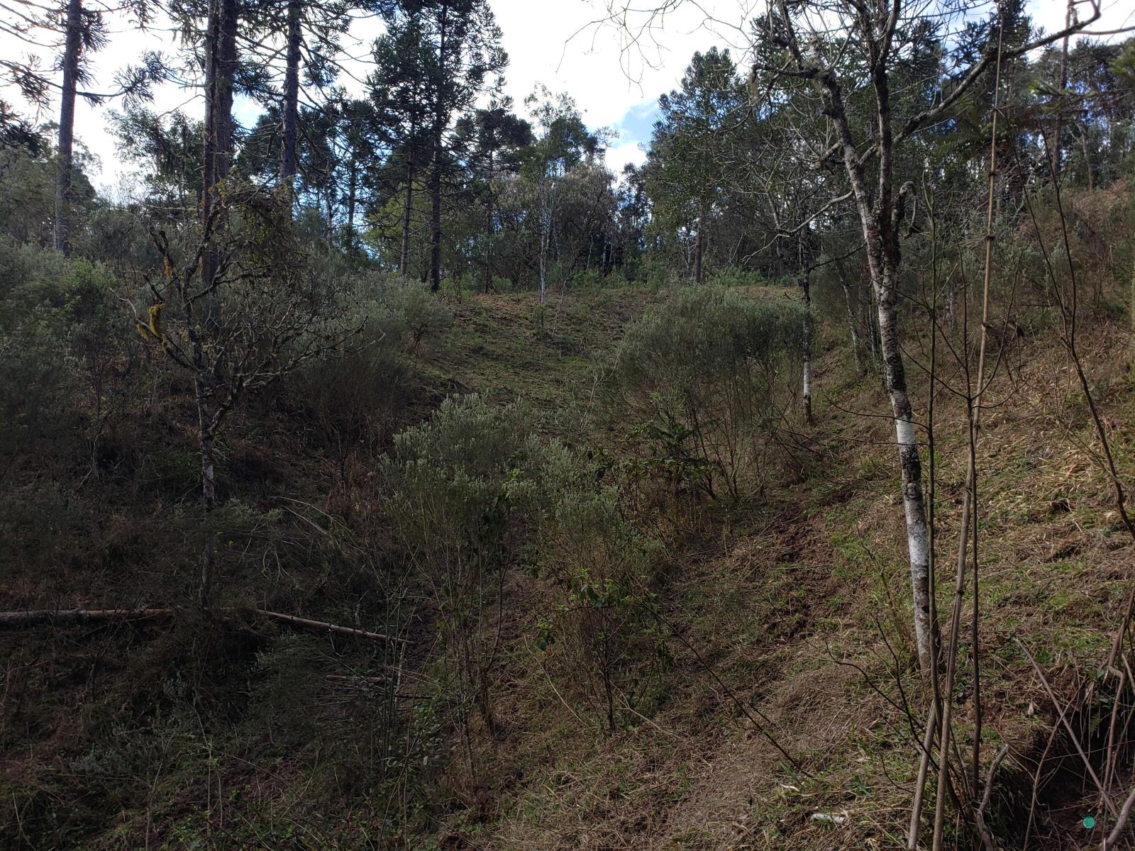 Sítio à venda, 26000 - Foto 20