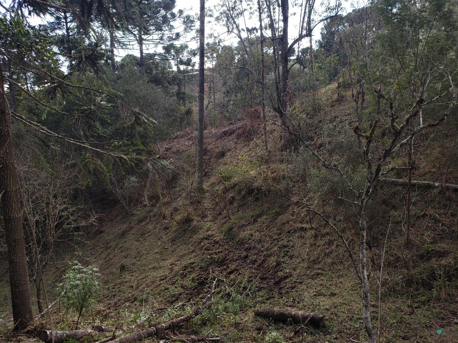 Sítio à venda, 26000 - Foto 22