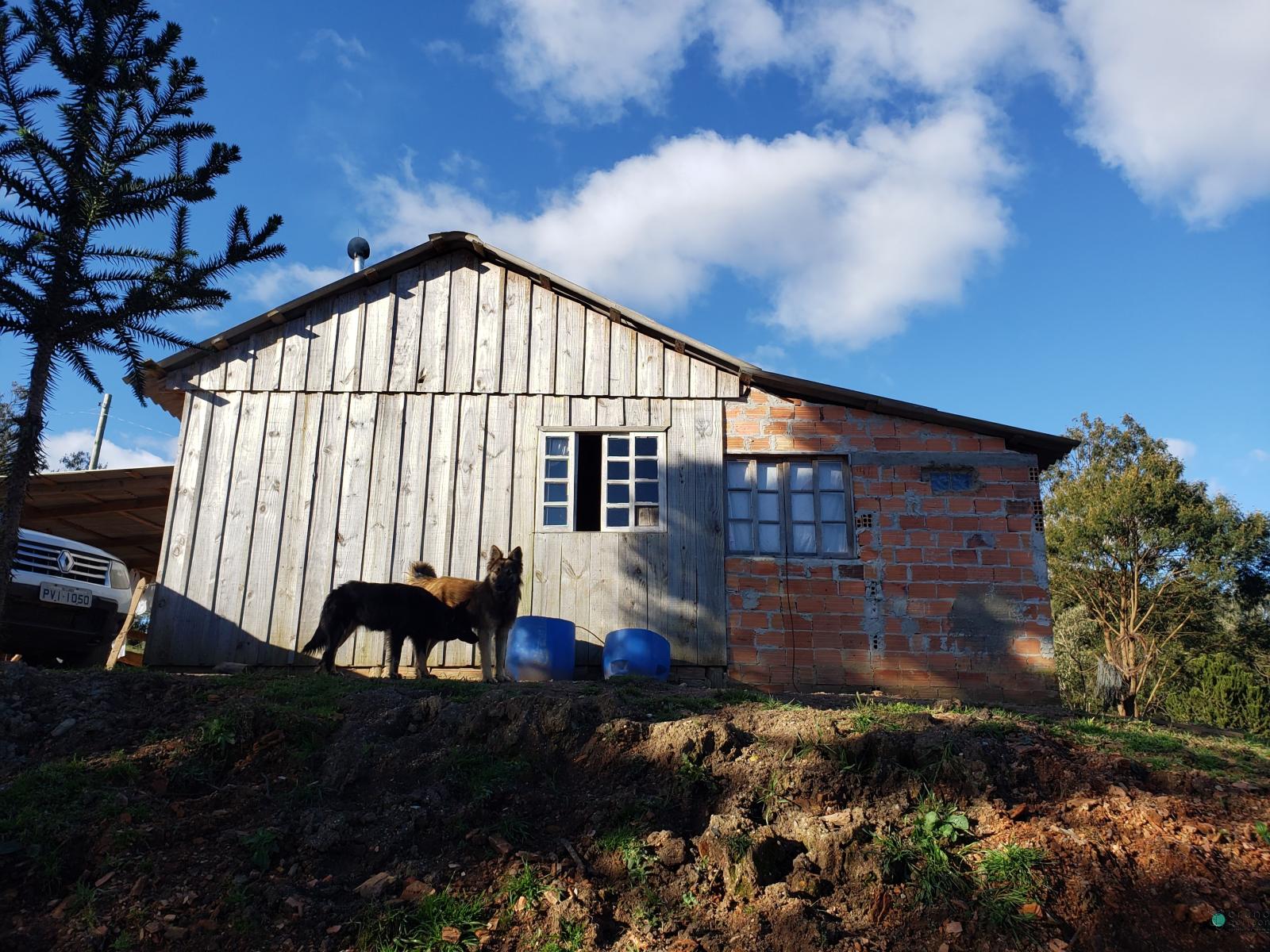 Sítio à venda, 26000 - Foto 25