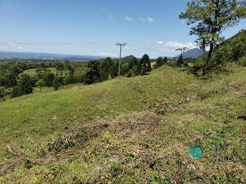 Fazenda à venda - Foto 8