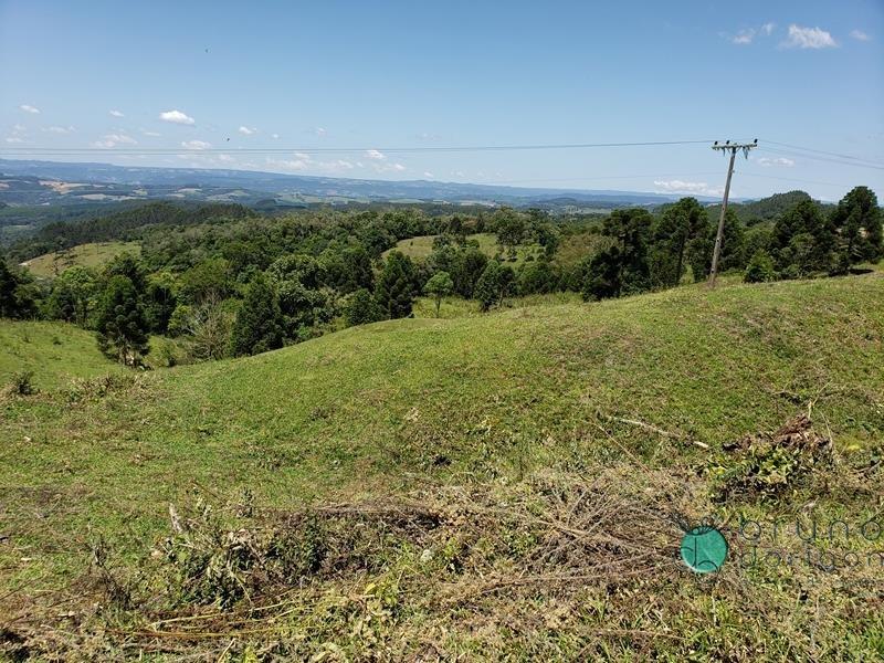 Fazenda à venda - Foto 6