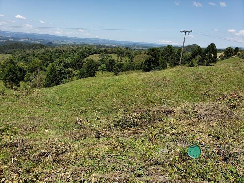 Fazenda à venda - Foto 7