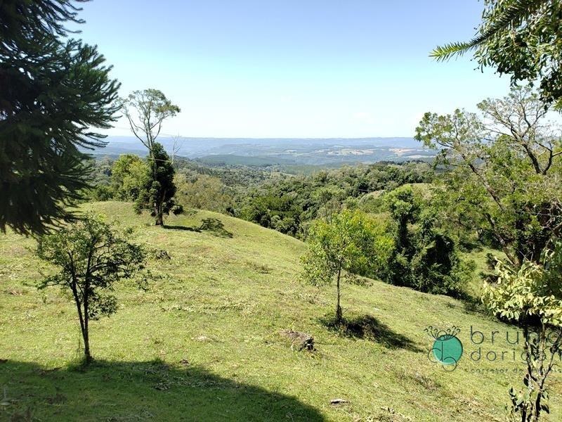 Fazenda à venda - Foto 5