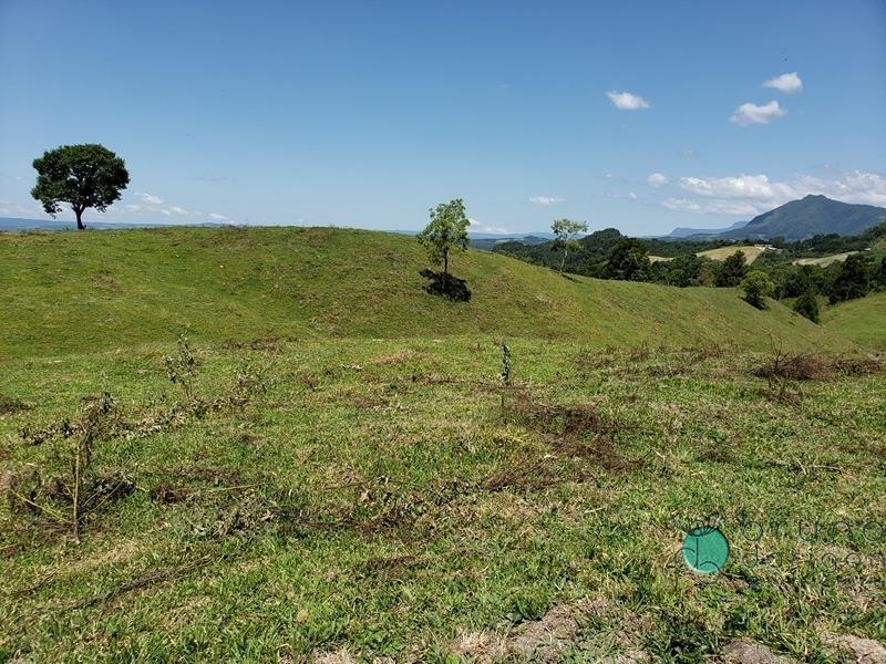 Fazenda à venda - Foto 9