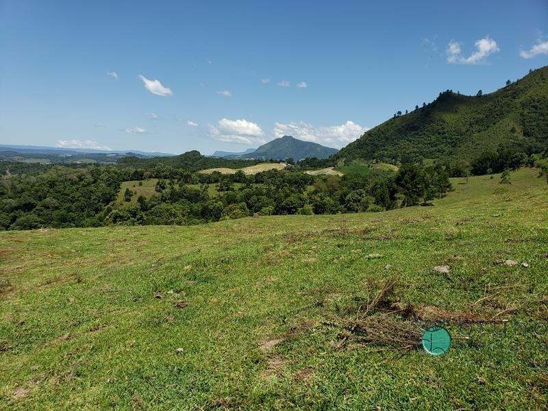 Fazenda à venda - Foto 10