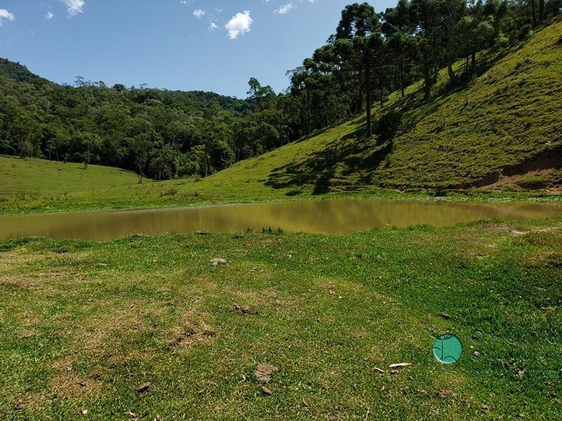 Fazenda à venda - Foto 22