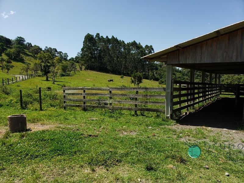 Fazenda à venda - Foto 25