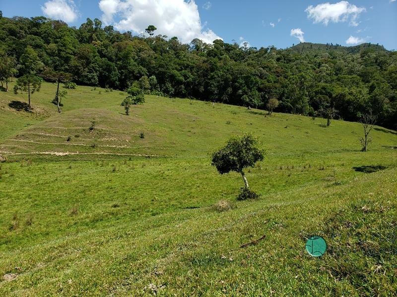 Fazenda à venda - Foto 23