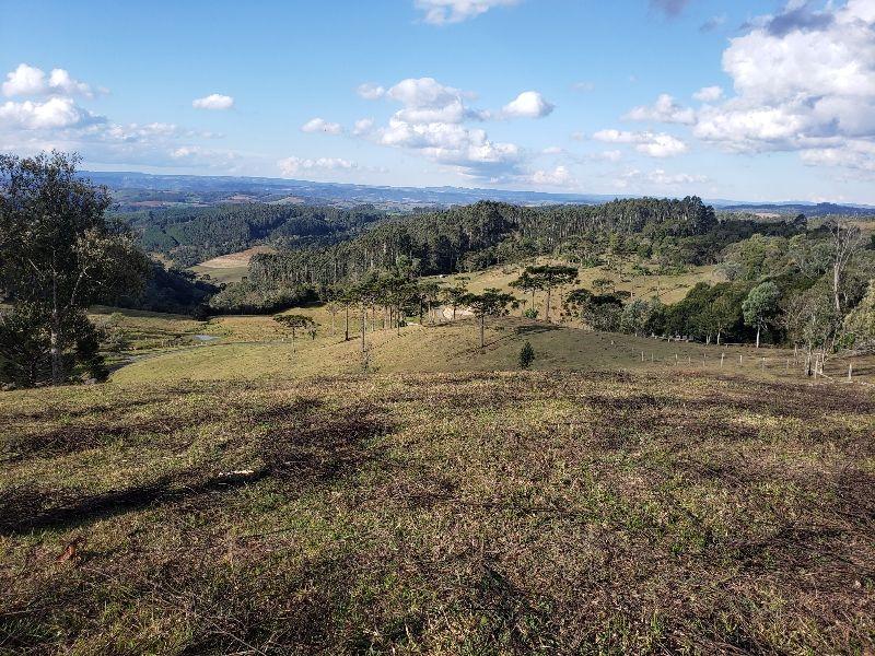 Fazenda à venda - Foto 29