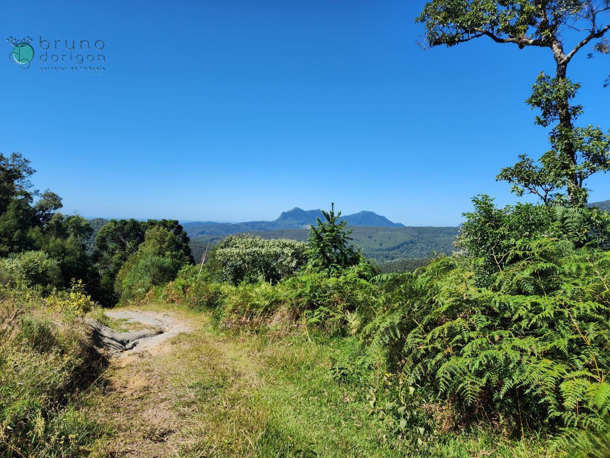 Sítio à venda, 100000 - Foto 10