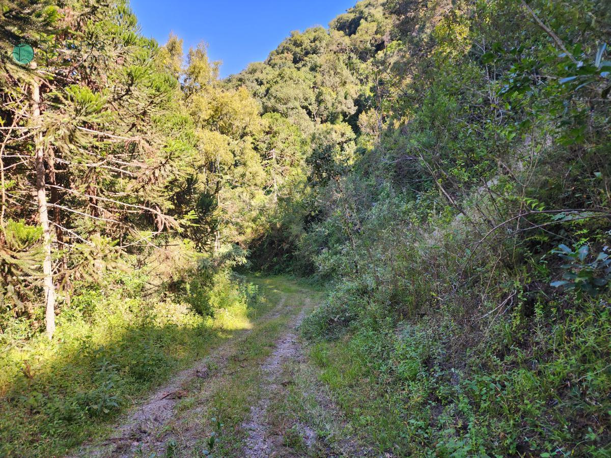 Sítio à venda, 100000 - Foto 15