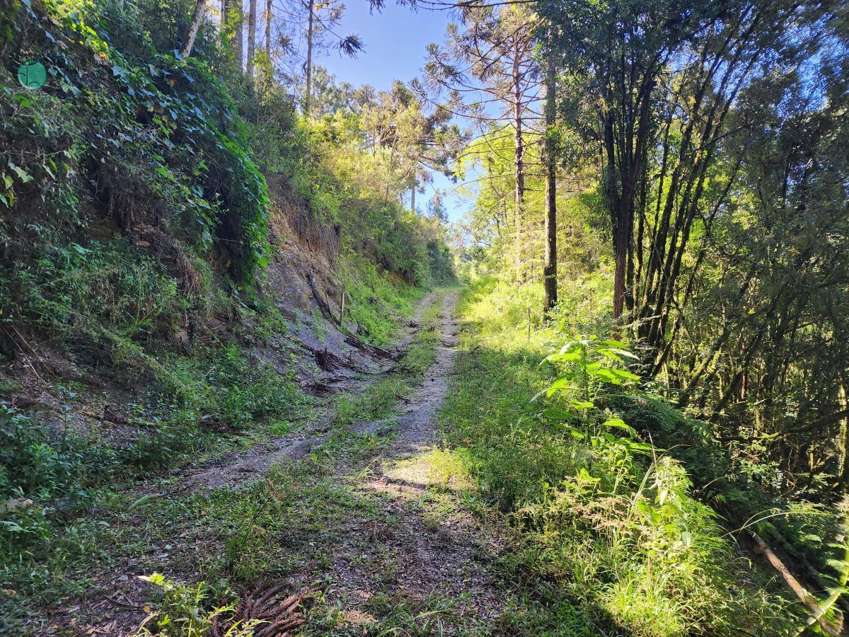 Sítio à venda, 100000 - Foto 21