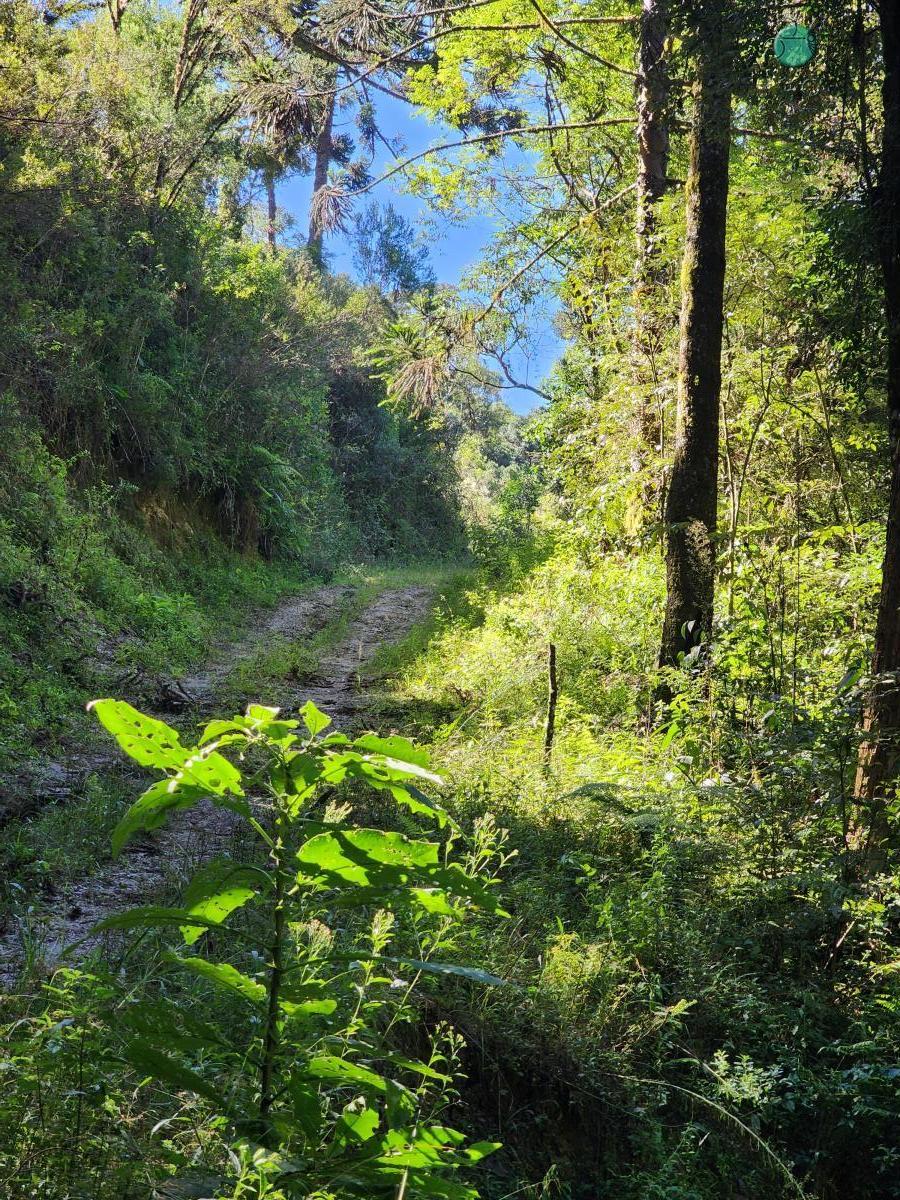 Sítio à venda, 100000 - Foto 24